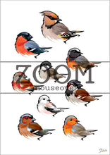 Load image into Gallery viewer, common redstart