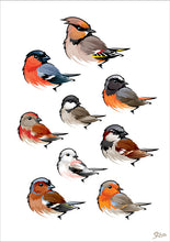 Load image into Gallery viewer, common redstart