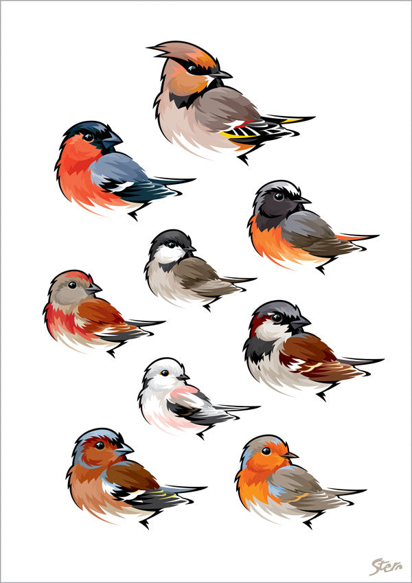 common redstart