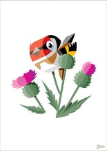 Load image into Gallery viewer, common redstart