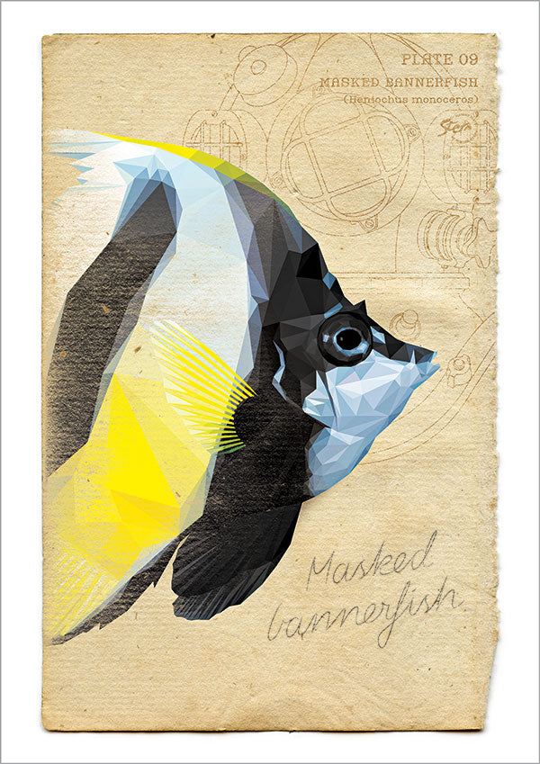 bannerfish - kort med kuvert