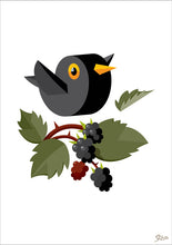 Load image into Gallery viewer, common redstart