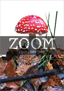 magpie fungus