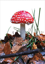 Load image into Gallery viewer, magpie fungus