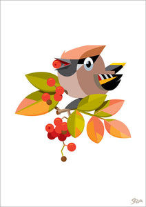 chaffinch