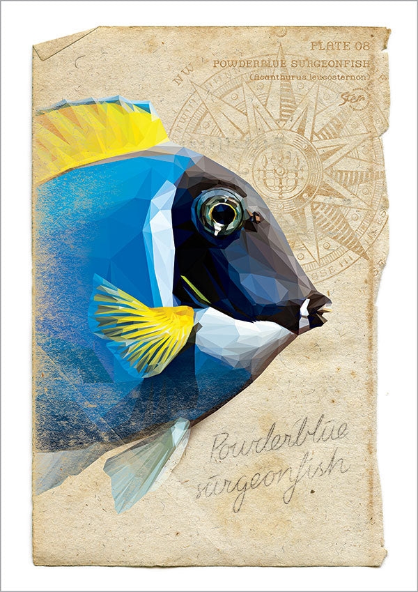 surgeonfish - kort med kuvert